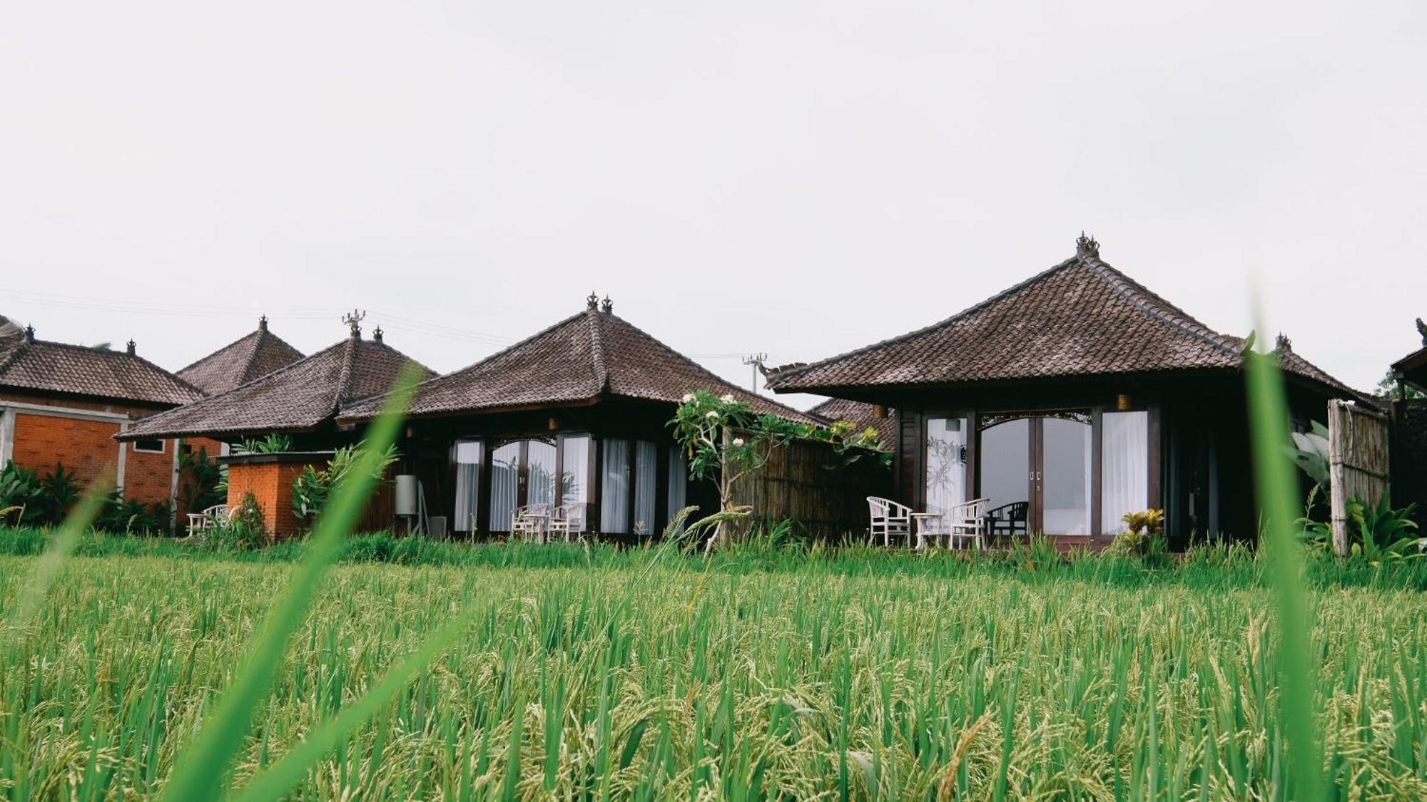 Kayangan Villa Ubud Tegallalang  Dış mekan fotoğraf