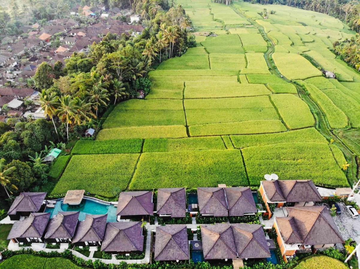 Kayangan Villa Ubud Tegallalang  Dış mekan fotoğraf