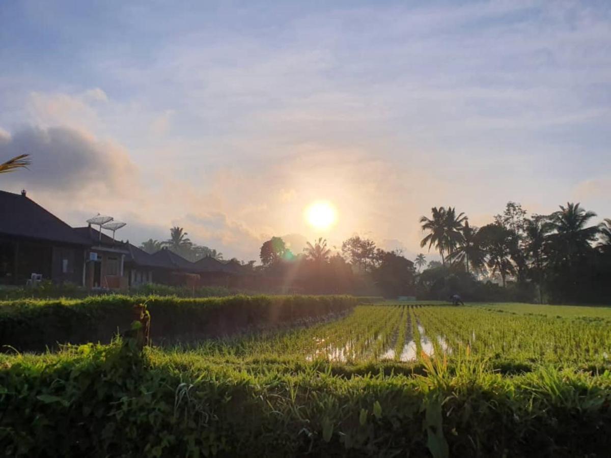 Kayangan Villa Ubud Tegallalang  Dış mekan fotoğraf