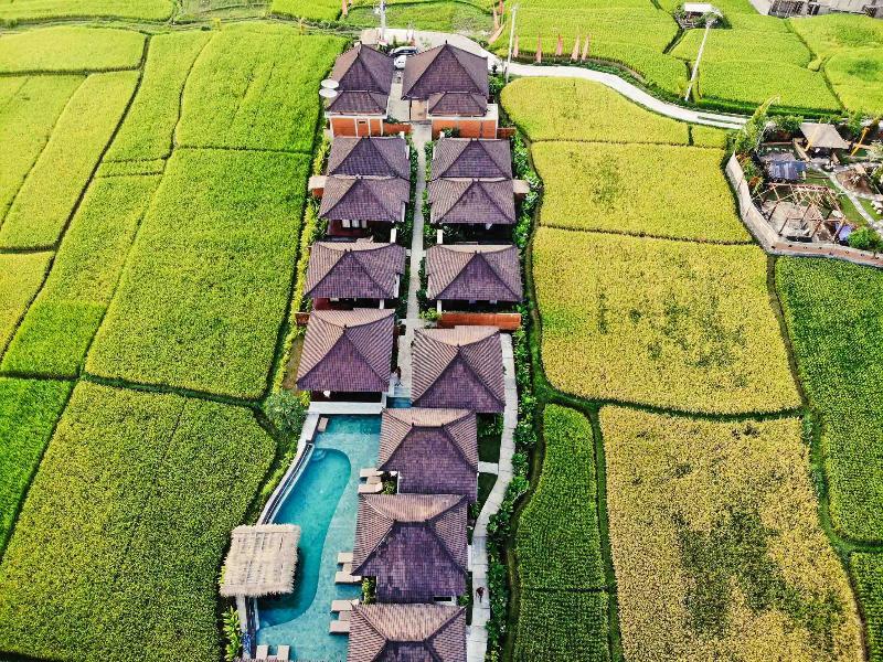 Kayangan Villa Ubud Tegallalang  Dış mekan fotoğraf